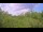 Webcam in Metairie, Louisiana, 76 mi away