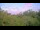 Webcam in Metairie, Louisiana, 4.7 mi away
