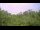 Webcam in Metairie, Louisiana, 4.3 mi away