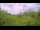Webcam in Metairie, Louisiana, 76 mi away