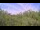 Webcam in Metairie, Louisiana, 2.7 mi away