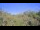 Webcam in Metairie, Louisiane, 11.1 km