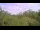 Webcam in Metairie, Louisiane, 317.2 km