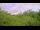 Webcam in Metairie, Louisiana, 132 mi away