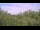 Webcam in Metairie, Louisiana, 7 km