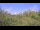 Webcam in Metairie, Louisiana, 71.4 km