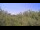 Webcam in Metairie, Louisiana, 225 km