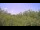 Webcam in Metairie, Louisiana, 76 mi away