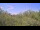 Webcam in Metairie, Louisiane, 265.5 km