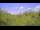 Webcam in Metairie, Louisiana, 89.4 mi away