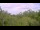 Webcam in Metairie, Louisiana, 356.8 km