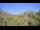 Webcam in Metairie, Louisiana, 147.6 km