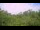 Webcam in Metairie, Louisiana, 86.8 mi away