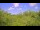 Webcam in Metairie, Louisiana, 6.9 km entfernt