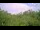 Webcam in Metairie, Louisiana, 298.3 km