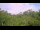 Webcam in Metairie, Louisiana, 259.9 km