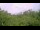 Webcam in Metairie, Louisiana, 86.7 km