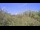 Webcam in Metairie, Louisiana, 102.5 mi away