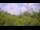 Webcam in Metairie, Louisiana, 110.7 mi away