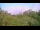 Webcam in Metairie, Louisiana, 317.6 km entfernt