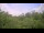 Webcam in Metairie, Louisiana, 7 km