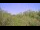 Webcam in Metairie, Louisiana, 7 km entfernt