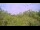 Webcam in Metairie, Louisiana, 4.3 mi away