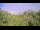 Webcam in Metairie, Louisiana, 17.7 km