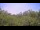 Webcam in Metairie, Louisiana, 4.3 mi away