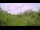 Webcam in Metairie, Louisiane, 5.3 km