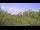 Webcam in Metairie, Louisiane, 231.8 km
