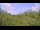 Webcam in Metairie, Louisiana, 76 mi away