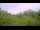 Webcam in Metairie, Louisiana, 110.4 mi away