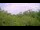 Webcam in Metairie, Louisiana, 5.3 km