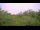 Webcam in Metairie, Louisiana, 100.3 mi away