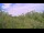 Webcam in Metairie, Louisiana, 4.3 mi away