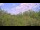 Webcam in Metairie, Louisiana, 292.9 km entfernt