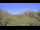 Webcam in Metairie, Louisiana, 246.2 km