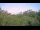 Webcam in Metairie, Louisiane, 68.6 km