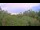 Webcam in Metairie, Louisiana, 4.3 mi away