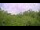 Webcam in Metairie, Louisiana, 71.4 km