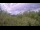 Webcam in Metairie, Louisiana, 296.3 km entfernt