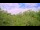 Webcam in Metairie, Louisiana, 2.1 mi away