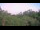 Webcam in Metairie, Louisiana, 4.3 mi away