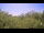 Webcam in Metairie, Louisiana, 110.7 mi away