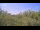 Webcam in Metairie, Louisiana, 2.7 mi away