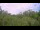 Webcam in Metairie, Louisiana, 99.9 mi away