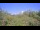 Webcam in Metairie, Louisiana, 8.1 mi away