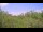 Webcam in Metairie, Louisiana, 76 mi away