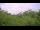 Webcam in Metairie, Louisiana, 351 km
